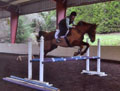 Whiskey and Rachael practice over an oxer without groundlines thumbnail